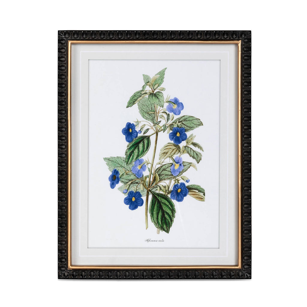 Summer Flower Framed Prints