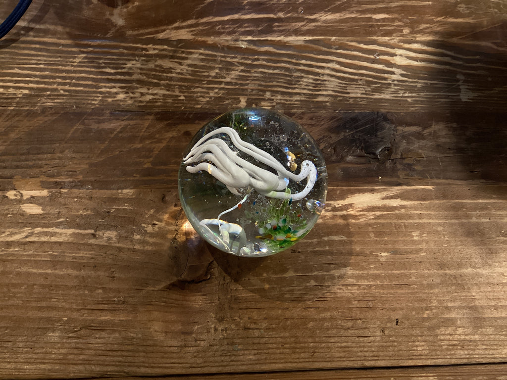 Simon Waranch — Glass Paperweight (95)