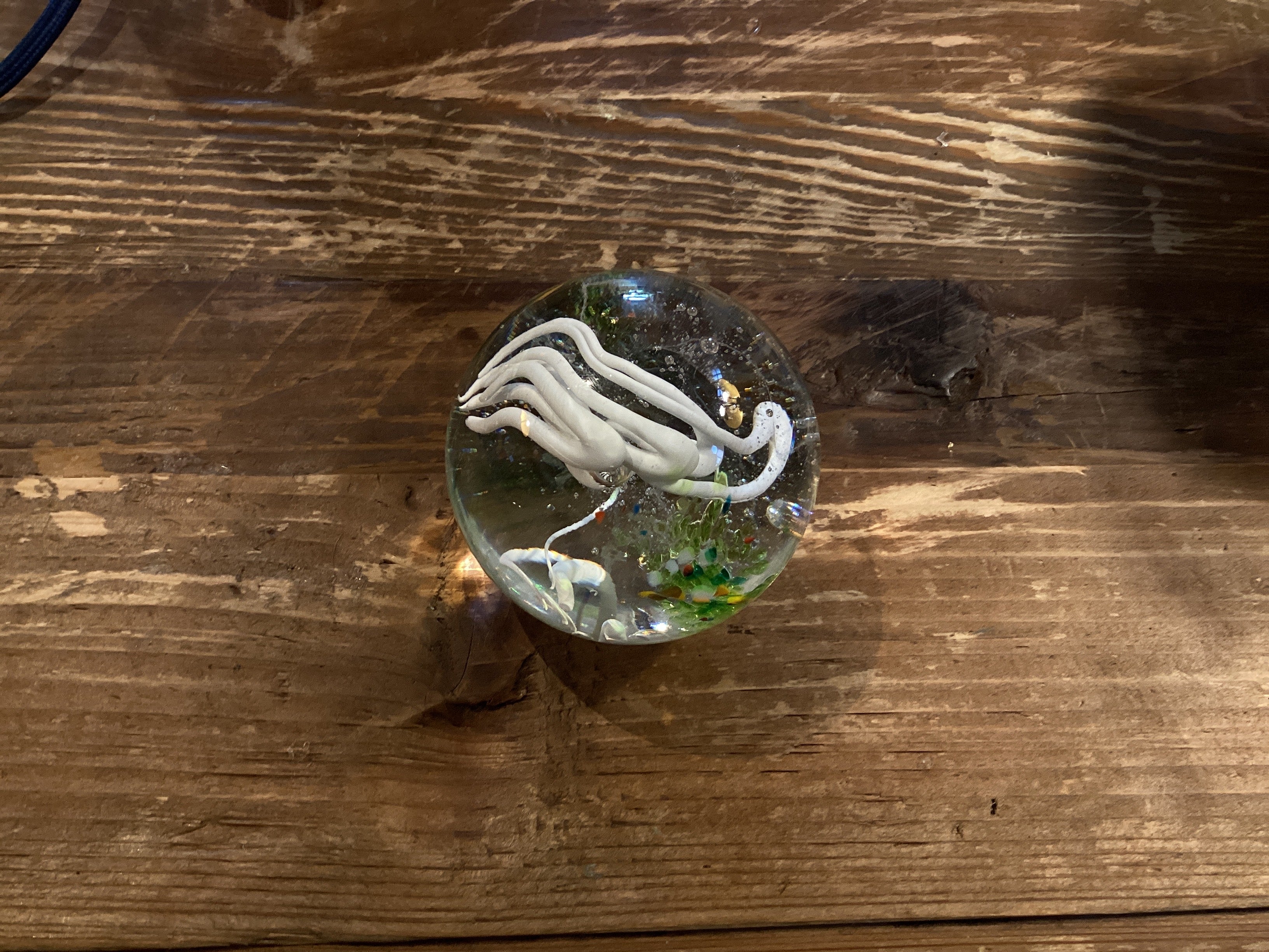 Simon Waranch — Glass Paperweight (95)