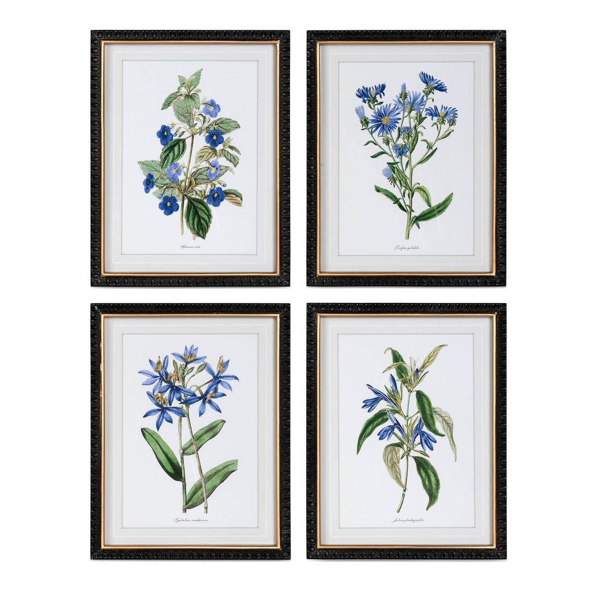 Summer Flower Framed Prints