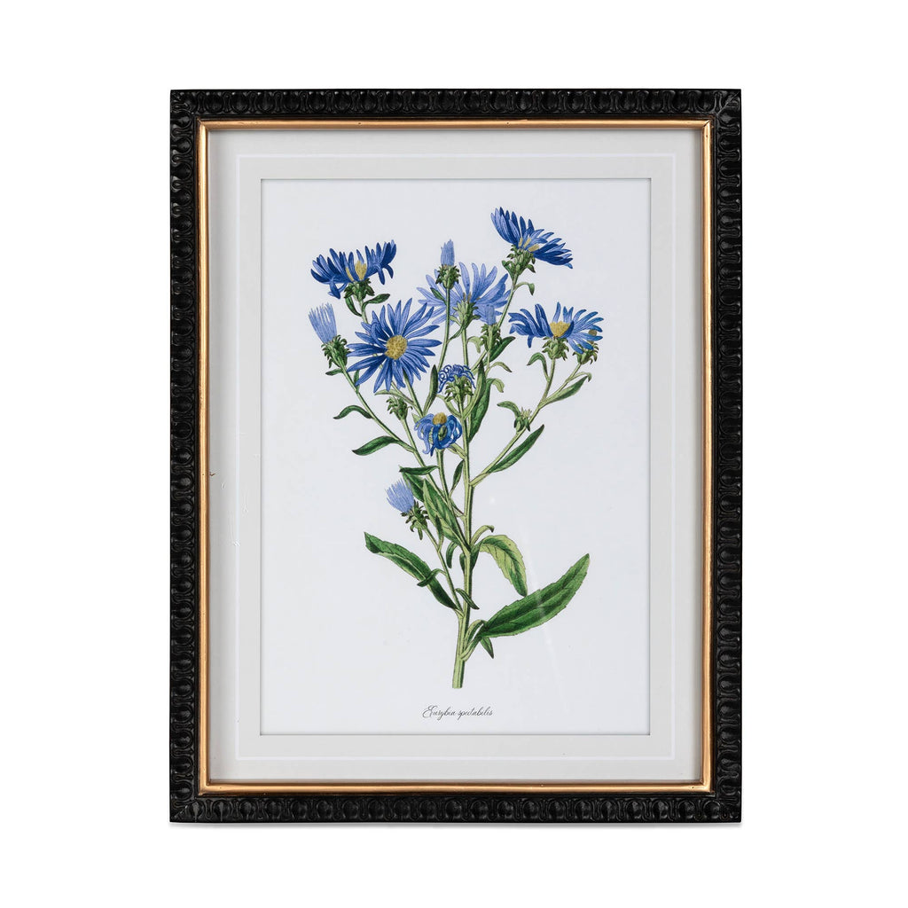 Summer Flower Framed Prints