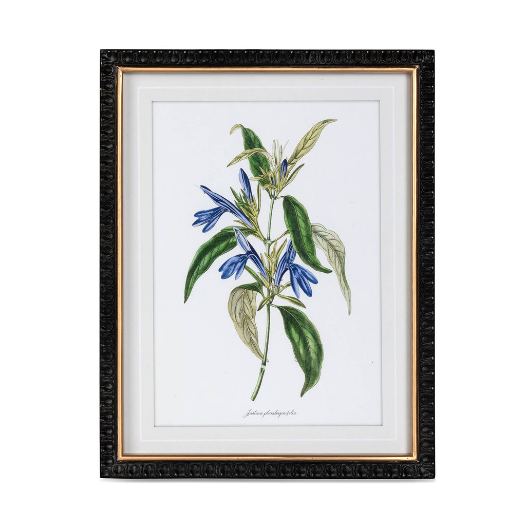 Summer Flower Framed Prints