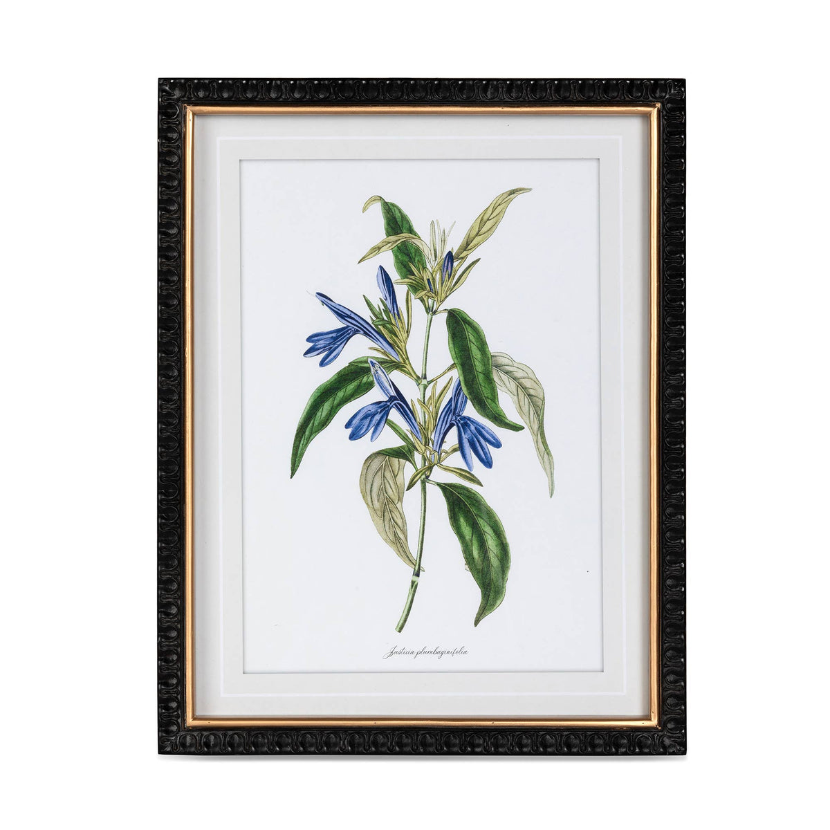 Summer Flower Framed Prints