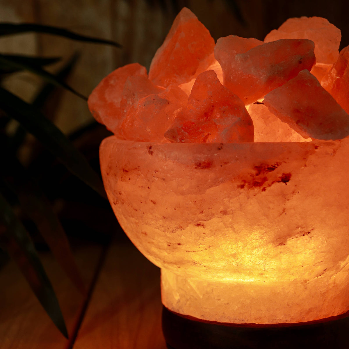 Himalayan Salt Bowl of Fire Lamp