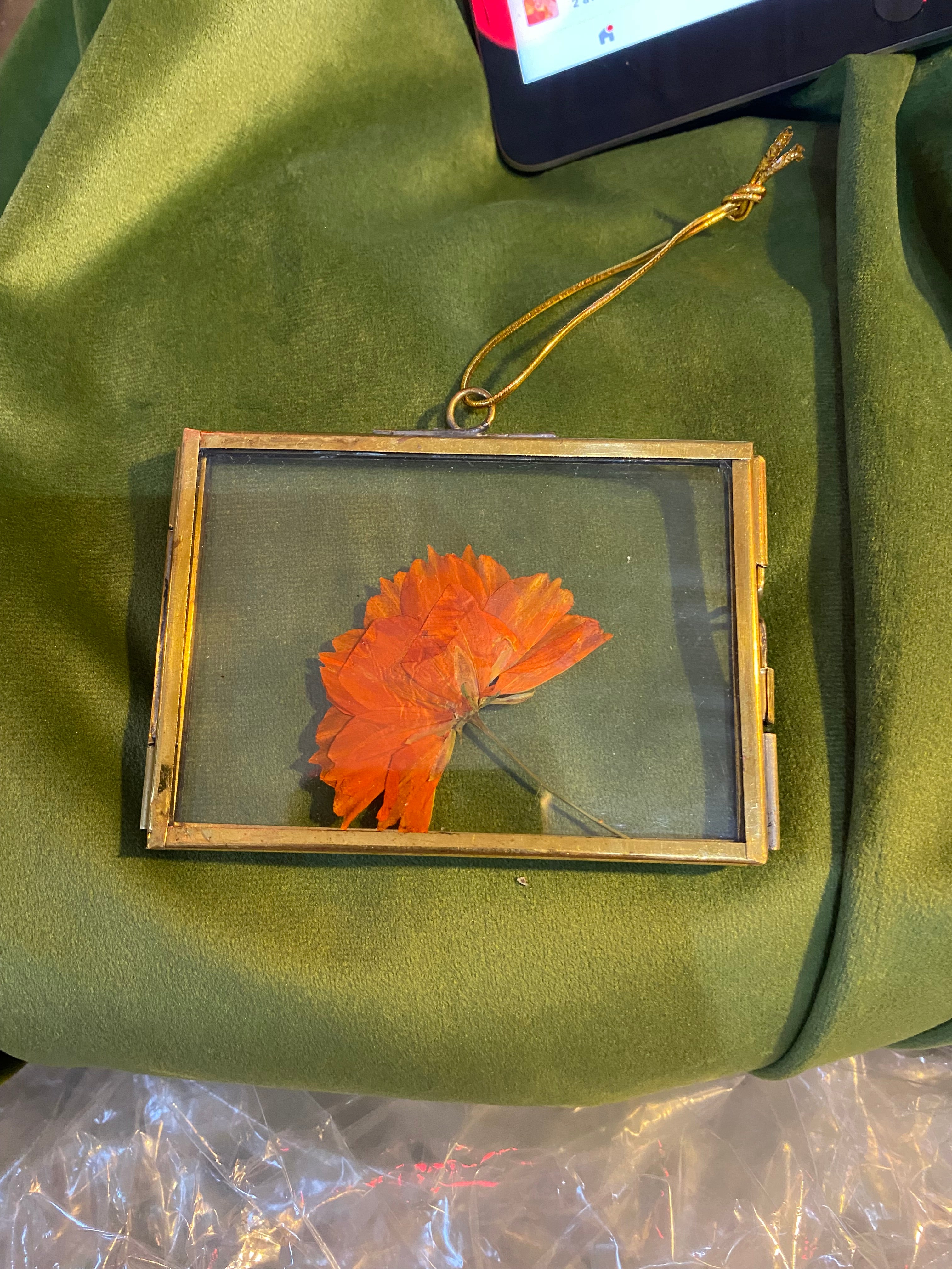 Window Plant Ornament | Twelve Thirty Four