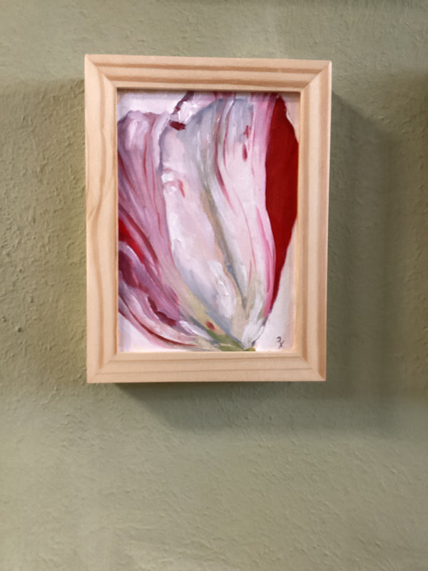 Striped Tulip Study I | Twelve Thirty Four