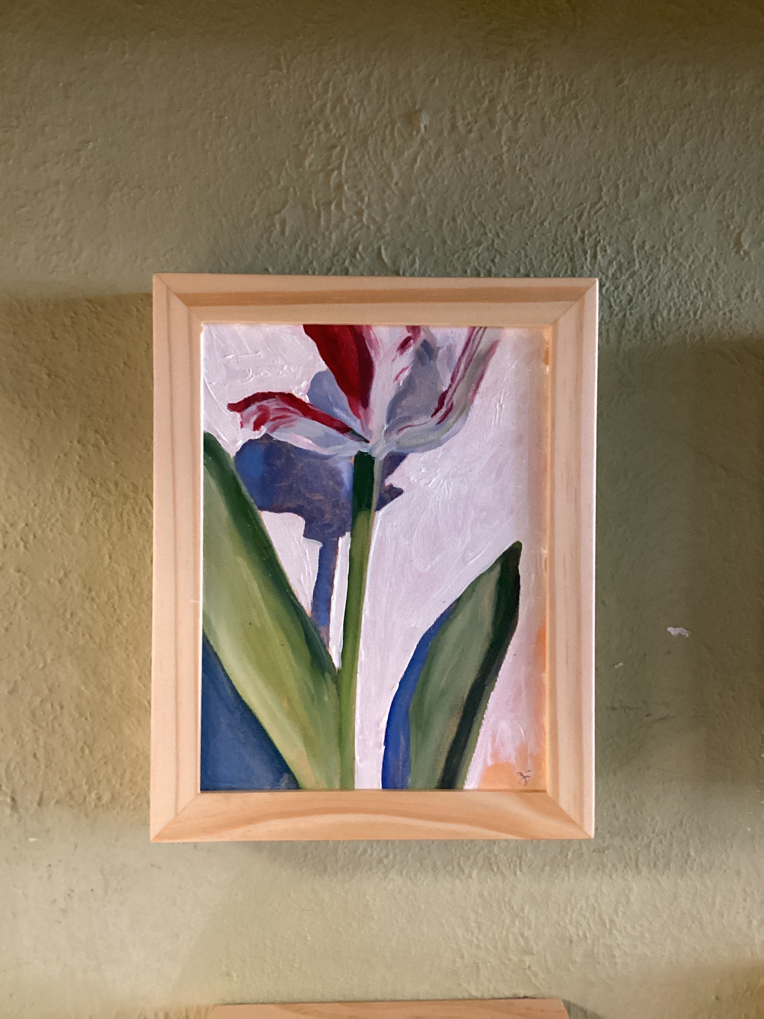 Striped Tulip Study 1 | Twelve Thirty Four