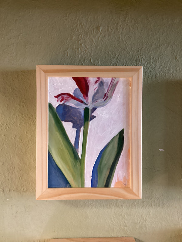 Striped Tulip Study 1 | Twelve Thirty Four