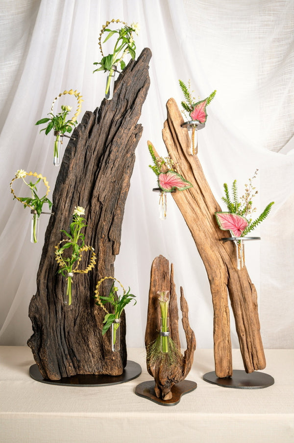 Daniel Scoggins — Current No. 13