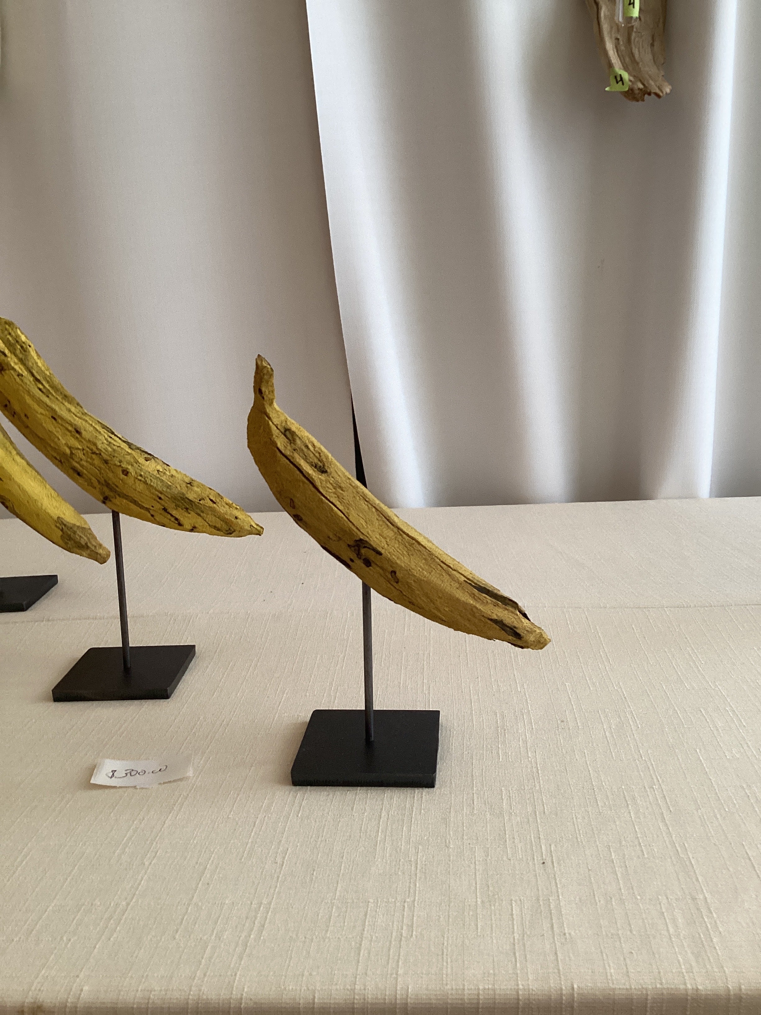 Daniel Scoggins — Current No. 4