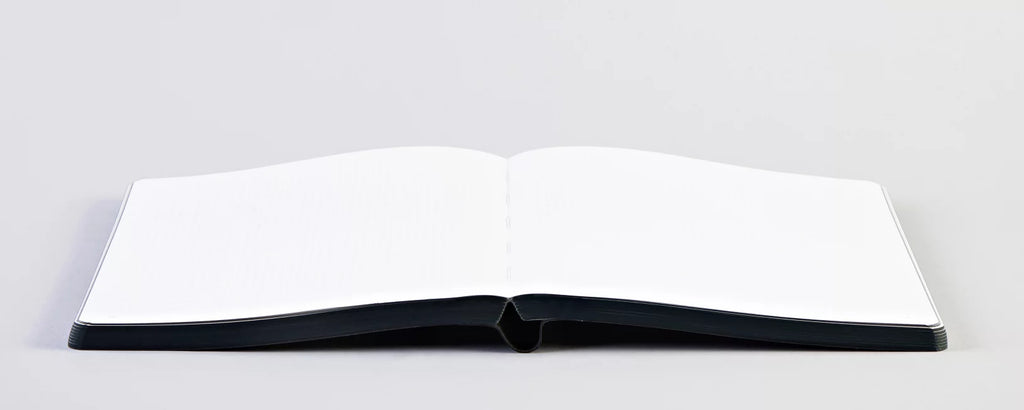 NUUNA — Future Plans, Large