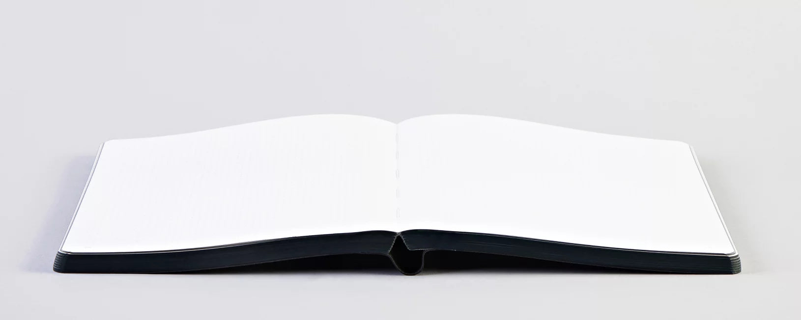 NUUNA — Future Plans, Large