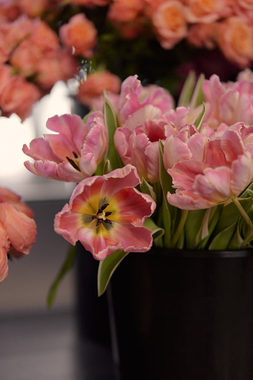 Private Floral Experience, Group