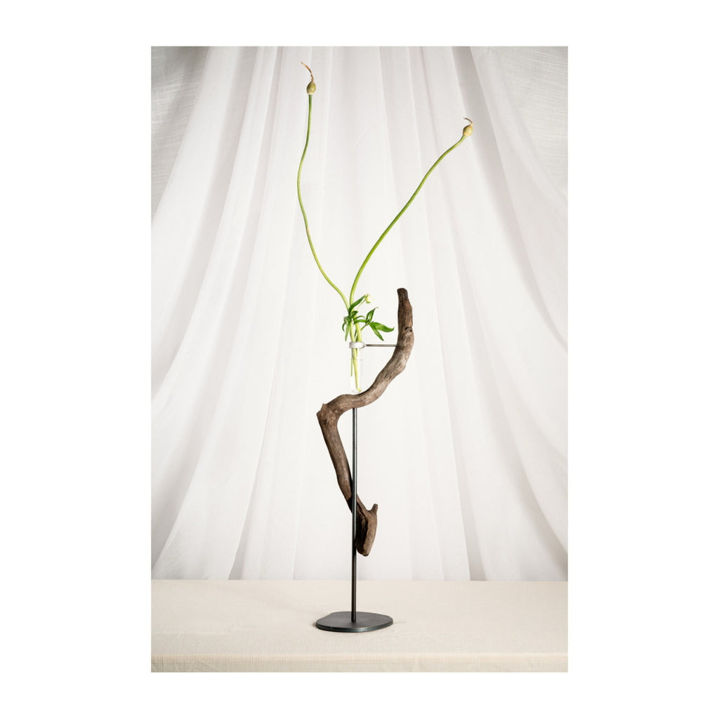 Daniel Scoggins — Current No. 12