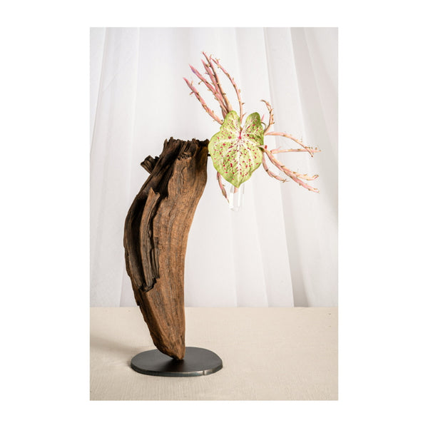 Daniel Scoggins — Current No. 16