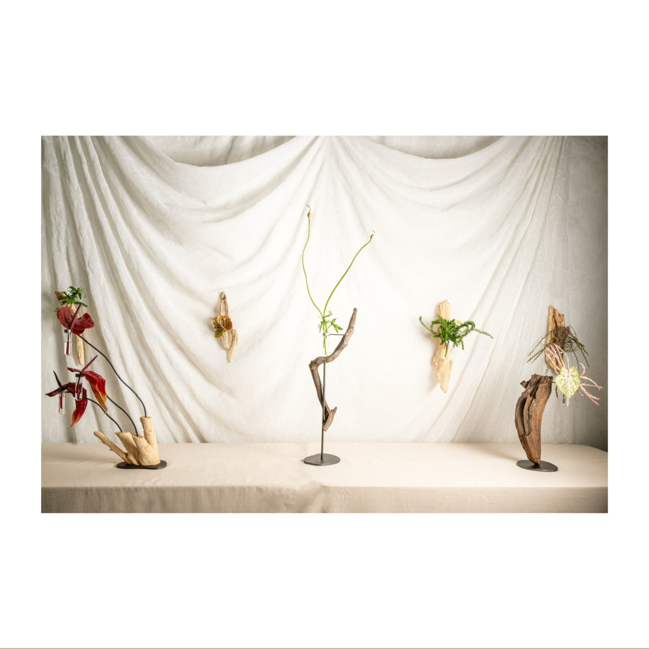 Daniel Scoggins — Current No. 12