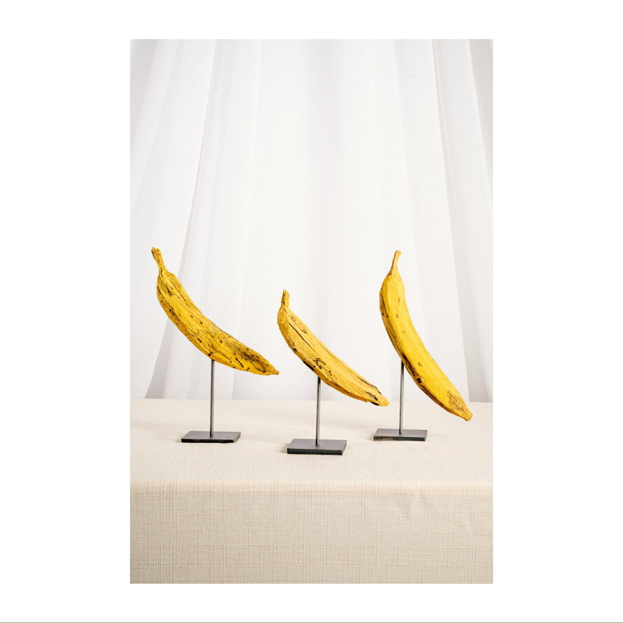 Daniel Scoggins — Current No. 4