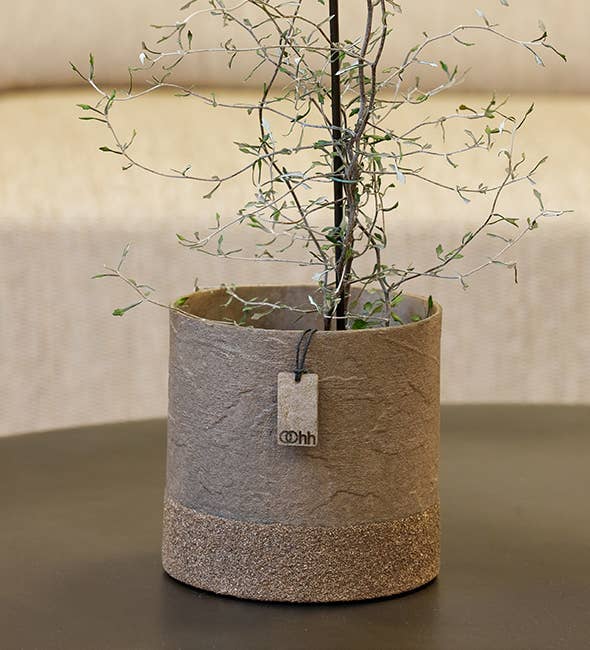Wood'z Edge pot, Taupe | Twelve Thirty Four
