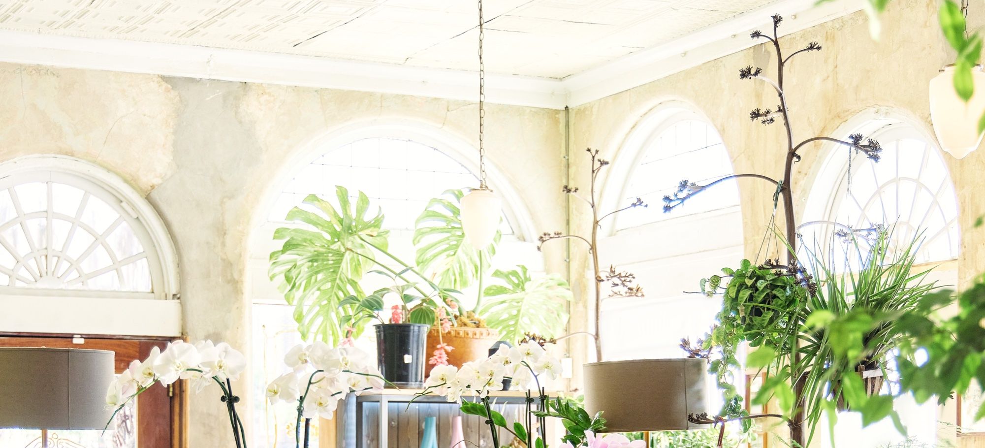 The gallery at 4034 Swiss Avenue in daylight, with arched windows, orchids and hanging plants